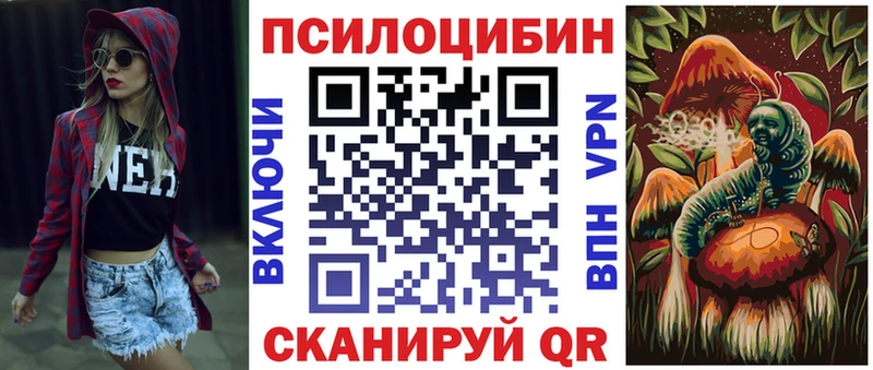 закладка  Кохма  Псилоцибиновые грибы Cubensis 