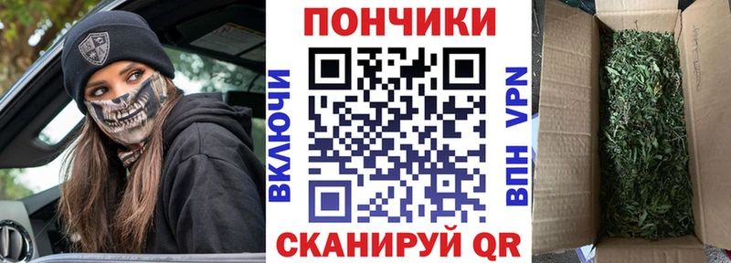 даркнет сайт  кракен ССЫЛКА  Бошки марихуана марихуана  Кохма 